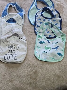 Cloud Island and Carter's Bib Sets